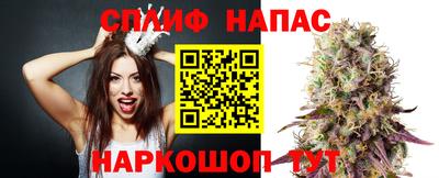 трава Кинель