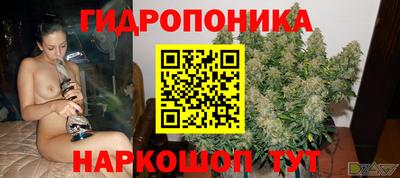 эйфоретик Кингисепп