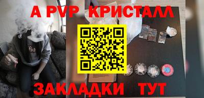 эйфоретик Кингисепп