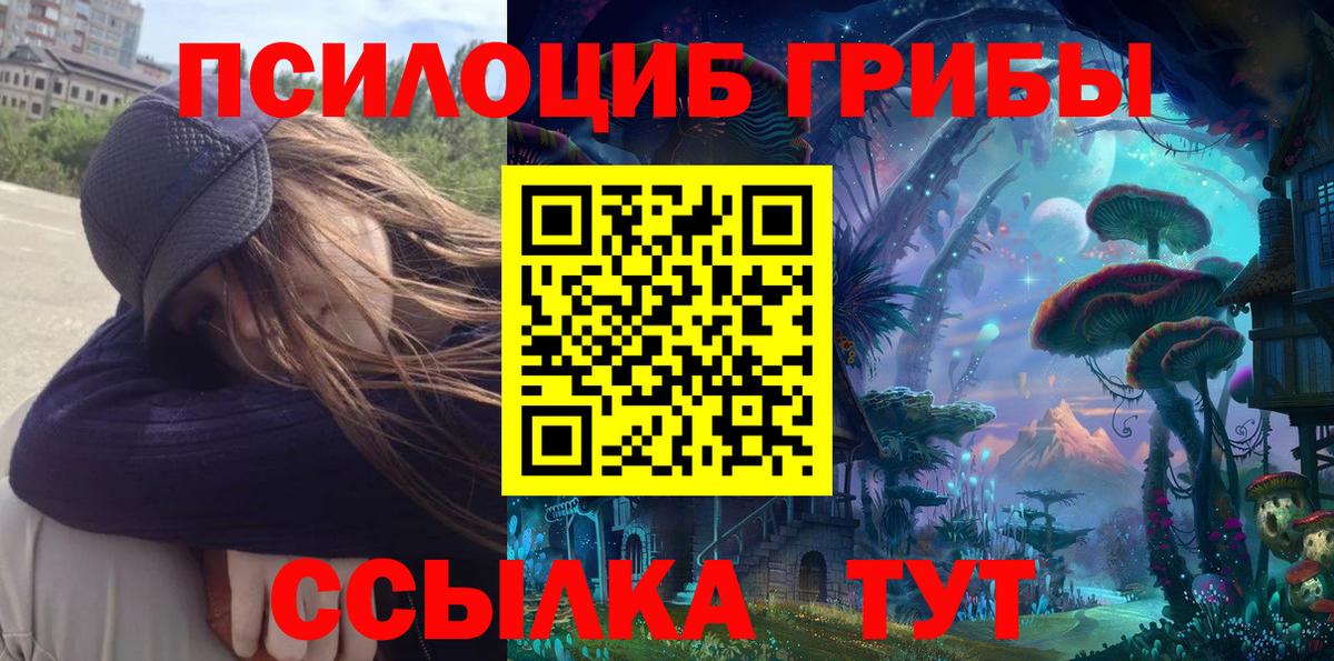 Галлюциногенные грибы прущие грибы  Псилоцибиновые грибы Psilocybe  Вход с VPN  Пермь 